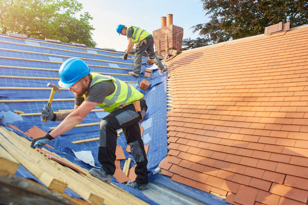 Steel Roofing in Woodlawn Beach, FL